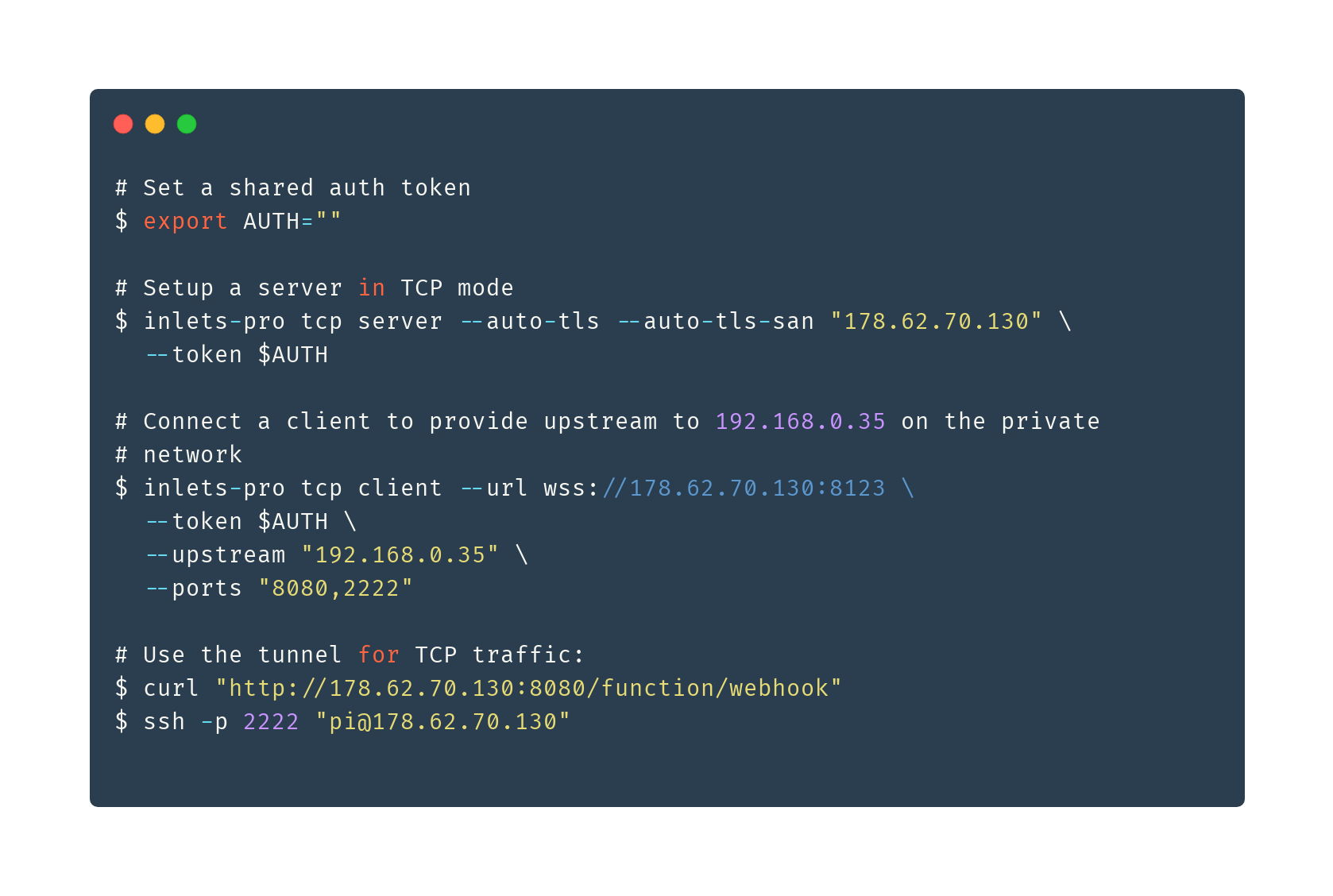A TCP tunnel exposing multiple ports